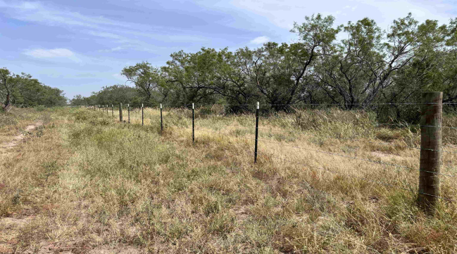 0 U.S. Hwy 359, Benavides, Texas 78349, ,Land,For Sale,0 U.S. Hwy 359,20264127