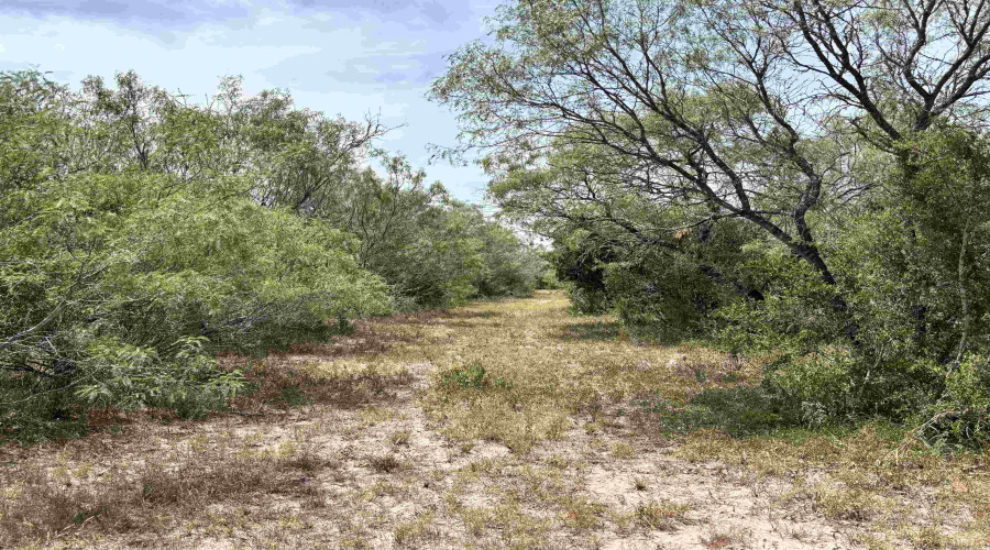 0 U.S. Hwy 359, Benavides, Texas 78349, ,Land,For Sale,0 U.S. Hwy 359,20264127