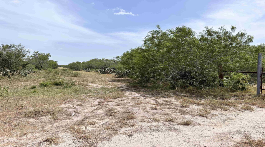 0 U.S. Hwy 359, Benavides, Texas 78349, ,Land,For Sale,0 U.S. Hwy 359,20264127