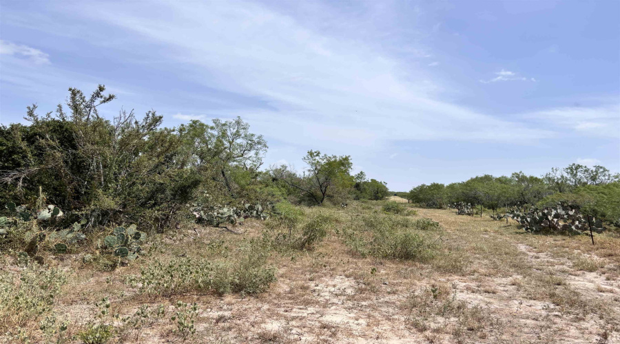 0 U.S. Hwy 359, Benavides, Texas 78349, ,Land,For Sale,0 U.S. Hwy 359,20264127