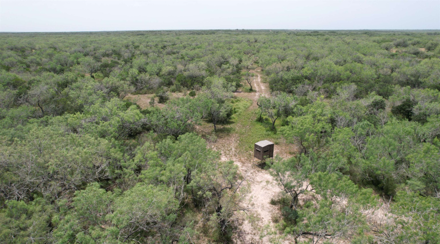 0 U.S. Hwy 359, Benavides, Texas 78349, ,Land,For Sale,0 U.S. Hwy 359,20264127