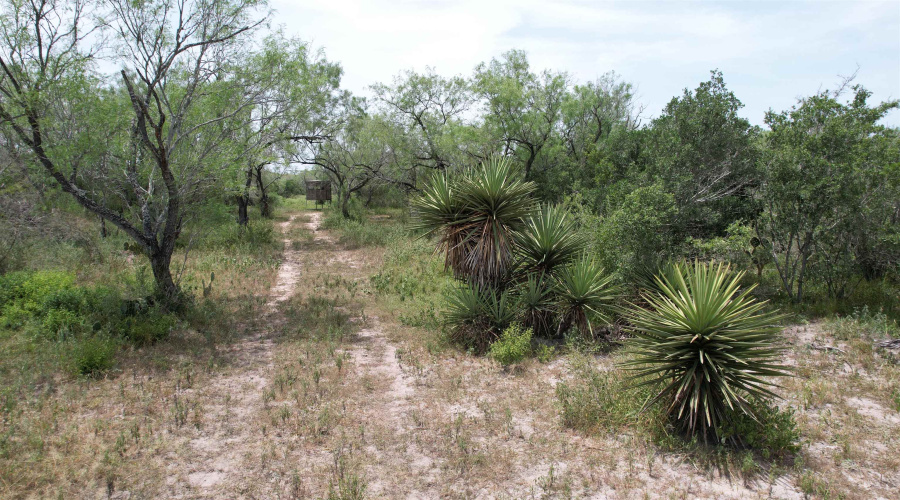 0 U.S. Hwy 359, Benavides, Texas 78349, ,Land,For Sale,0 U.S. Hwy 359,20264127