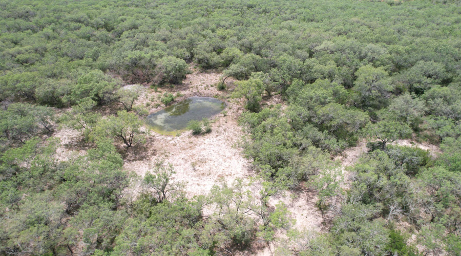 0 U.S. Hwy 359, Benavides, Texas 78349, ,Land,For Sale,0 U.S. Hwy 359,20264127