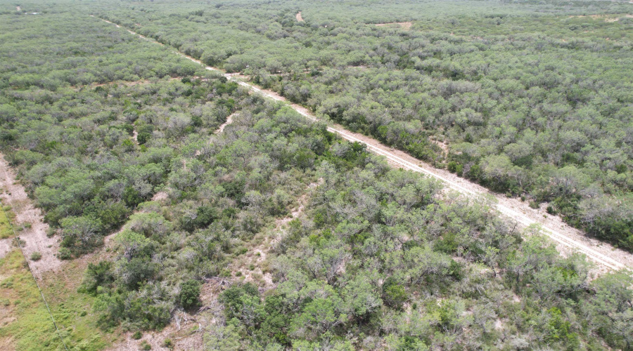 0 U.S. Hwy 359, Benavides, Texas 78349, ,Land,For Sale,0 U.S. Hwy 359,20264127
