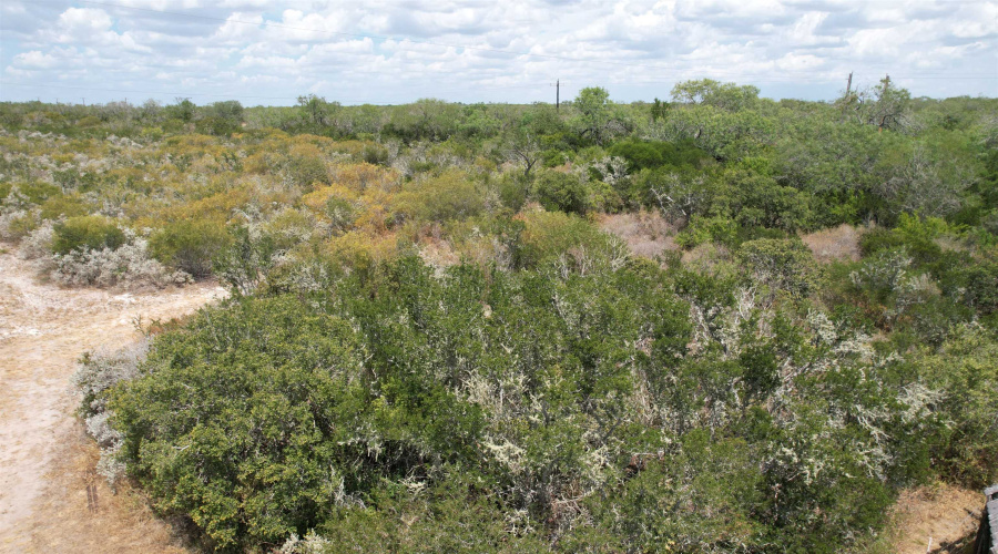 12654 HWY 339, Benavides, Texas 78349, ,Land,For Sale,12654 HWY 339,20264130