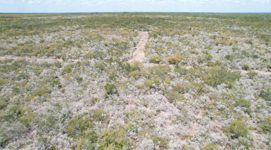 12654 HWY 339, Benavides, Texas 78349, ,Land,For Sale,12654 HWY 339,20264130