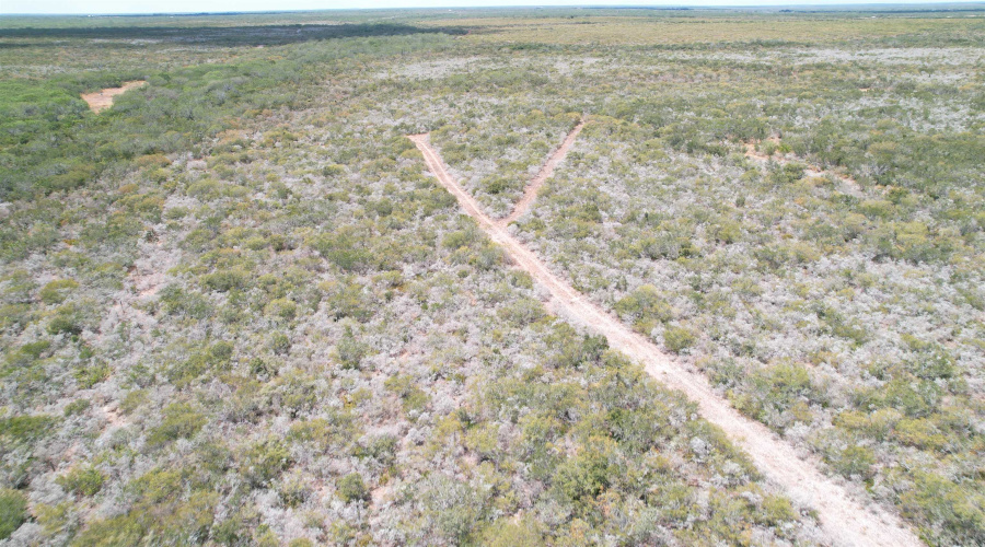 12654 HWY 339, Benavides, Texas 78349, ,Land,For Sale,12654 HWY 339,20264130