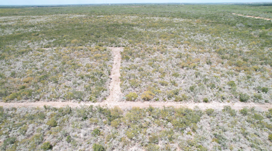12654 HWY 339, Benavides, Texas 78349, ,Land,For Sale,12654 HWY 339,20264130