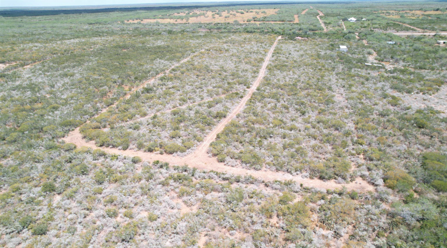 12654 HWY 339, Benavides, Texas 78349, ,Land,For Sale,12654 HWY 339,20264130