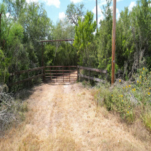 12654 HWY 339, Benavides, Texas 78349, ,Land,For Sale,12654 HWY 339,20264130