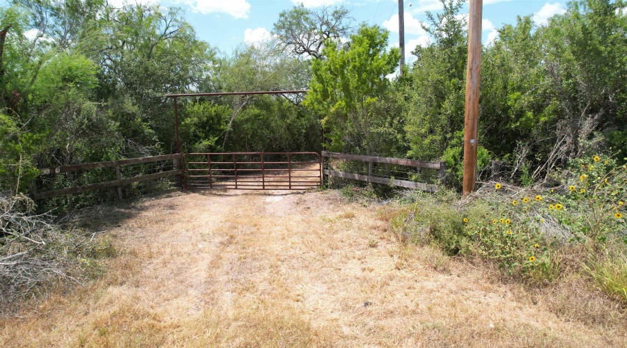 12654 HWY 339, Benavides, Texas 78349, ,Land,For Sale,12654 HWY 339,20264130