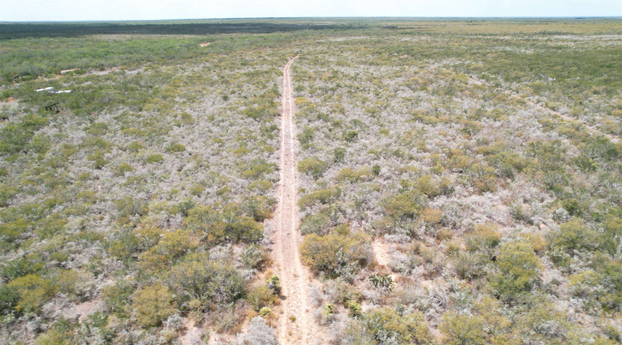 12654 HWY 339, Benavides, Texas 78349, ,Land,For Sale,12654 HWY 339,20264130
