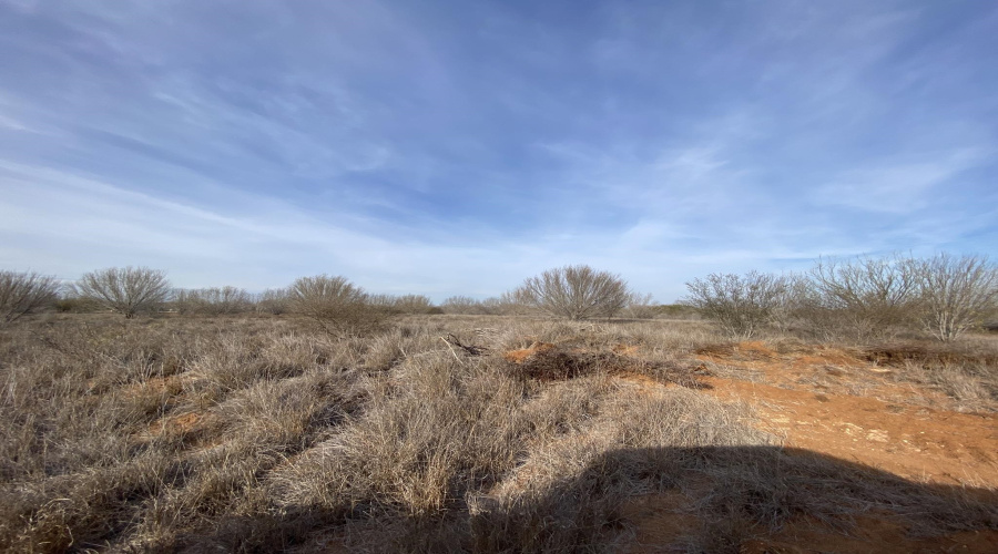 001 Ranch Rd, Encinal, Texas 78045, ,Land,For Sale,001 Ranch Rd,20264138