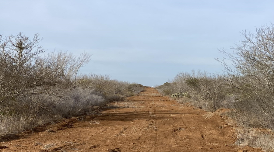 001 Ranch Rd, Encinal, Texas 78045, ,Land,For Sale,001 Ranch Rd,20264138
