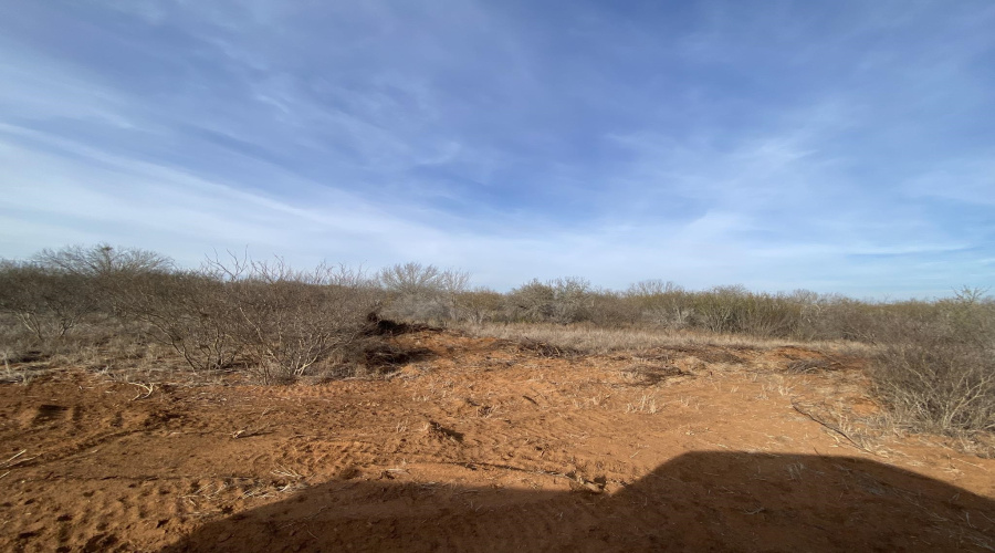 002 Ranch Rd, Encinal, Texas 78019, ,Land,For Sale,002 Ranch Rd,20264139