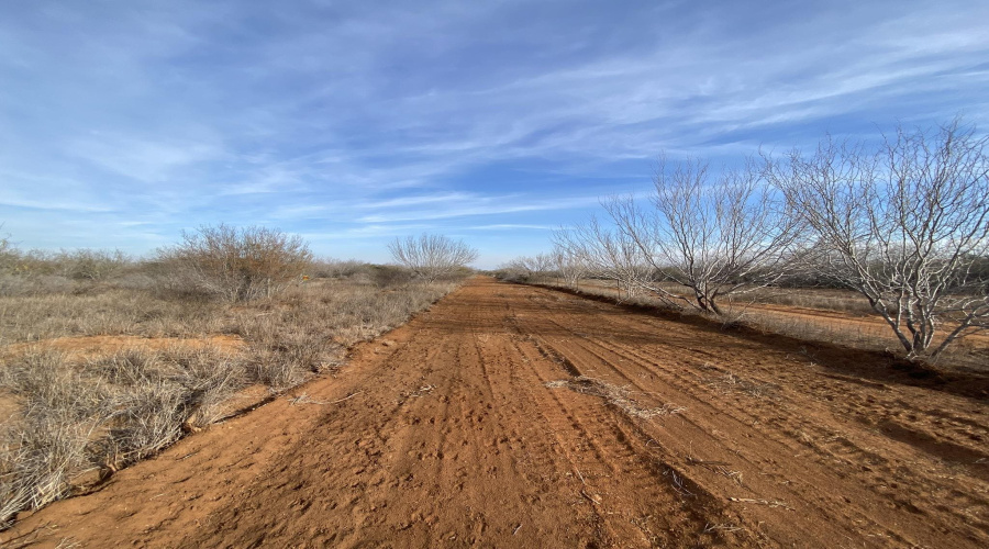 002 Ranch Rd, Encinal, Texas 78019, ,Land,For Sale,002 Ranch Rd,20264139