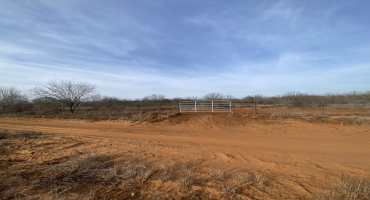003 Ranch Rd, Encinal, Texas 78019, ,Land,For Sale,003 Ranch Rd,20264140