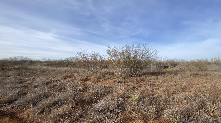 003 Ranch Rd, Encinal, Texas 78019, ,Land,For Sale,003 Ranch Rd,20264140
