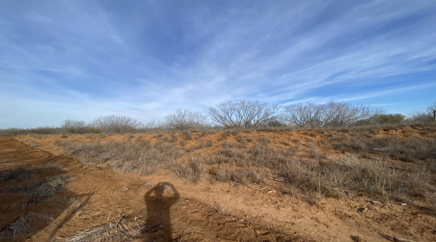 003 Ranch Rd, Encinal, Texas 78019, ,Land,For Sale,003 Ranch Rd,20264140
