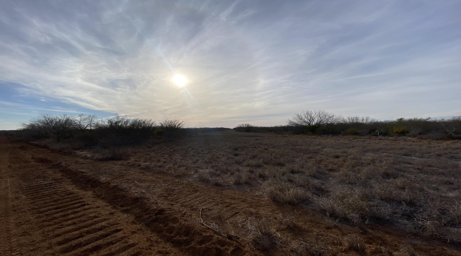 003 Ranch Rd, Encinal, Texas 78019, ,Land,For Sale,003 Ranch Rd,20264140