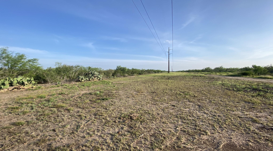 006 Ranch Rd, ENCINAL, Texas 78019, ,Land,For Sale,006 Ranch Rd,20264143
