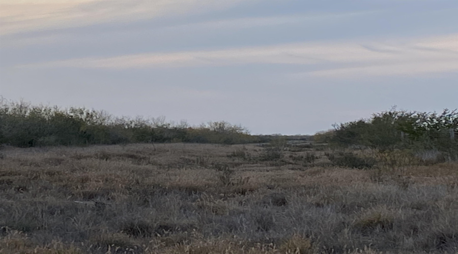 007 Ranch Rd, ENCINAL, Texas 78019, ,Land,For Sale,007 Ranch Rd,20264144