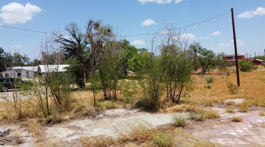 508 N Main St, Encinal, Texas 78019, ,Land,For Sale,508 N Main St,20264147