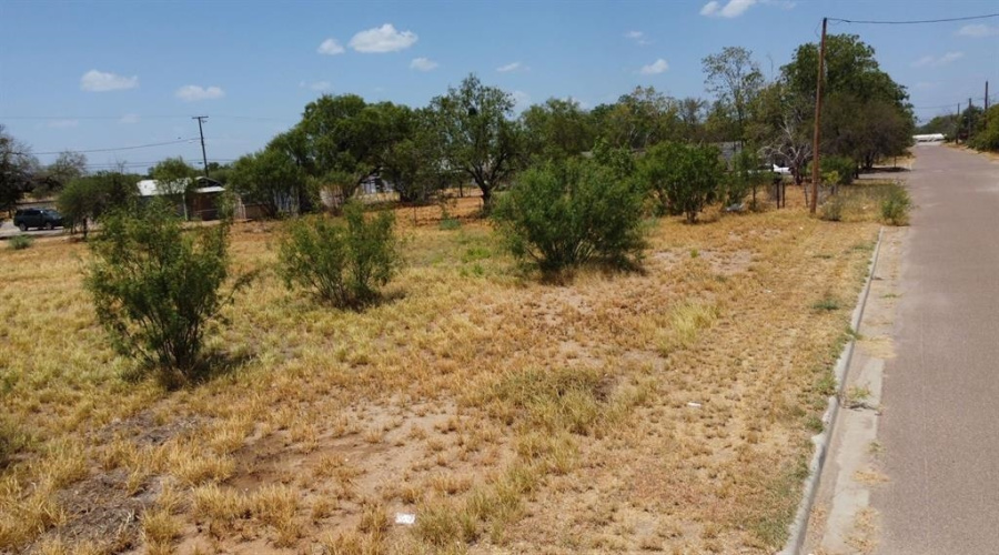 507 Fresno St., Encinal, Texas 78019, ,Land,For Sale,507 Fresno St.,20264149