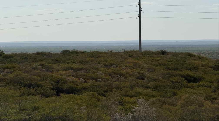 0 N Welhausen Rd., Oilton, Texas 78371, ,Land,For Sale,0 N Welhausen Rd.,20264153