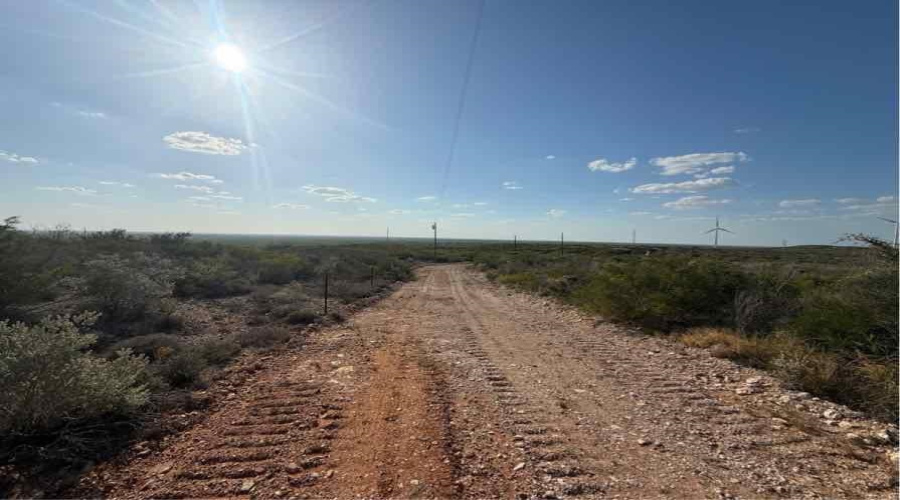 0 N Welhausen Rd., Oilton, Texas 78371, ,Land,For Sale,0 N Welhausen Rd.,20264153