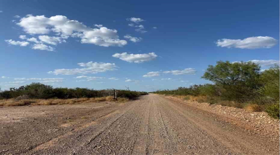 0 N Welhausen Rd., Oilton, Texas 78371, ,Land,For Sale,0 N Welhausen Rd.,20264153