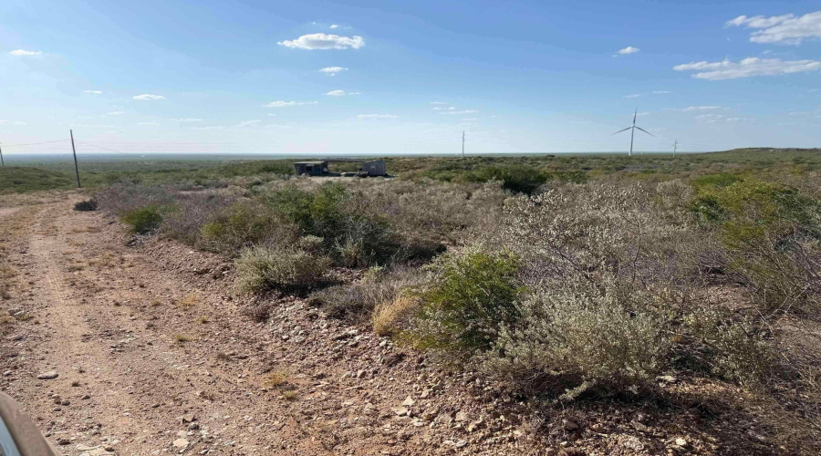 0 N Welhausen Rd., Oilton, Texas 78371, ,Land,For Sale,0 N Welhausen Rd.,20264153