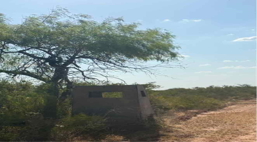 0 N Welhausen Rd., Oilton, Texas 78371, ,Land,For Sale,0 N Welhausen Rd.,20264153