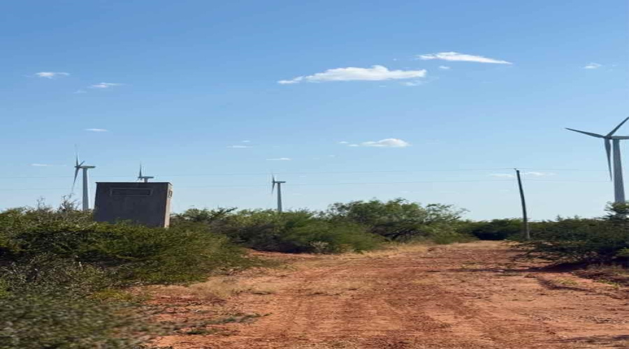 0 N Welhausen Rd., Oilton, Texas 78371, ,Land,For Sale,0 N Welhausen Rd.,20264153