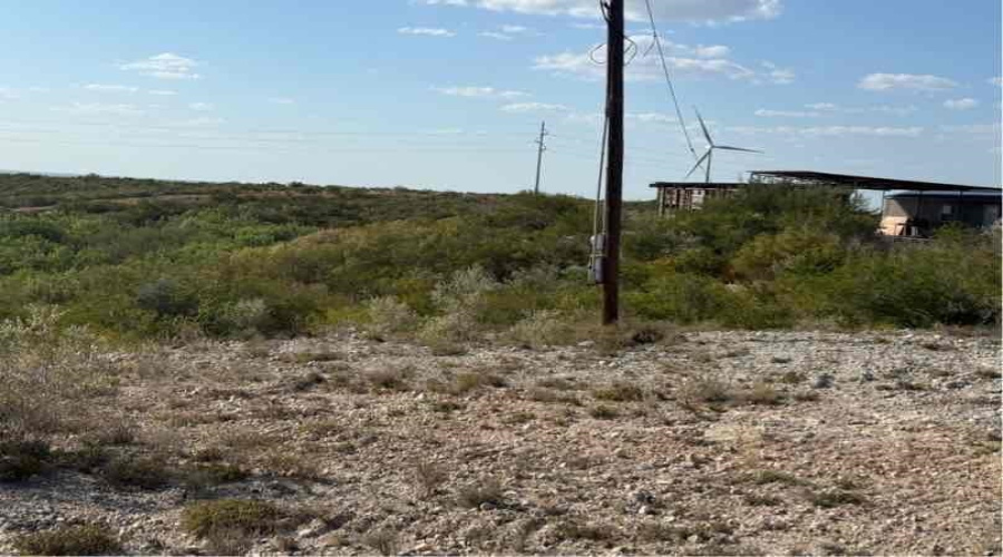 0 N Welhausen Rd., Oilton, Texas 78371, ,Land,For Sale,0 N Welhausen Rd.,20264153