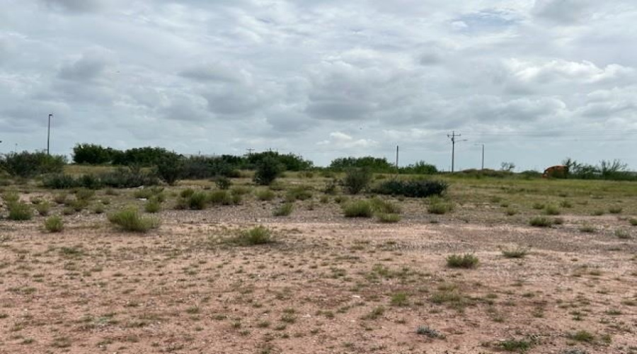 8207 Mejia Rd, Laredo, Texas 78043, ,Land,For Sale,8207 Mejia Rd,20261747