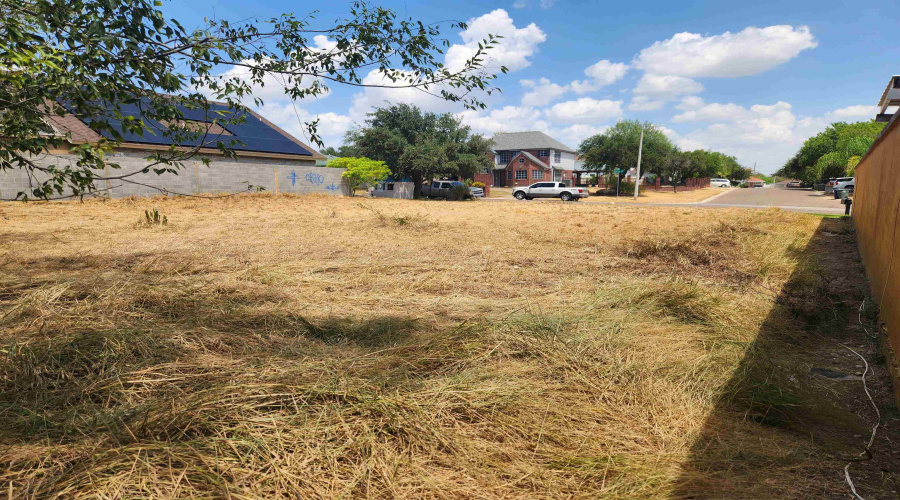 218 Daisy Ln, Laredo, Texas 78046, ,Land,For Sale,218 Daisy Ln,20264176