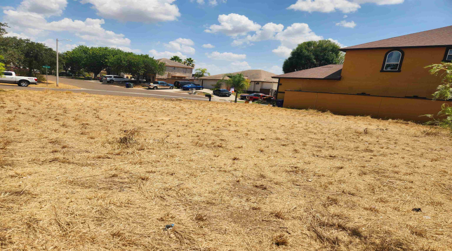 218 Daisy Ln, Laredo, Texas 78046, ,Land,For Sale,218 Daisy Ln,20264176