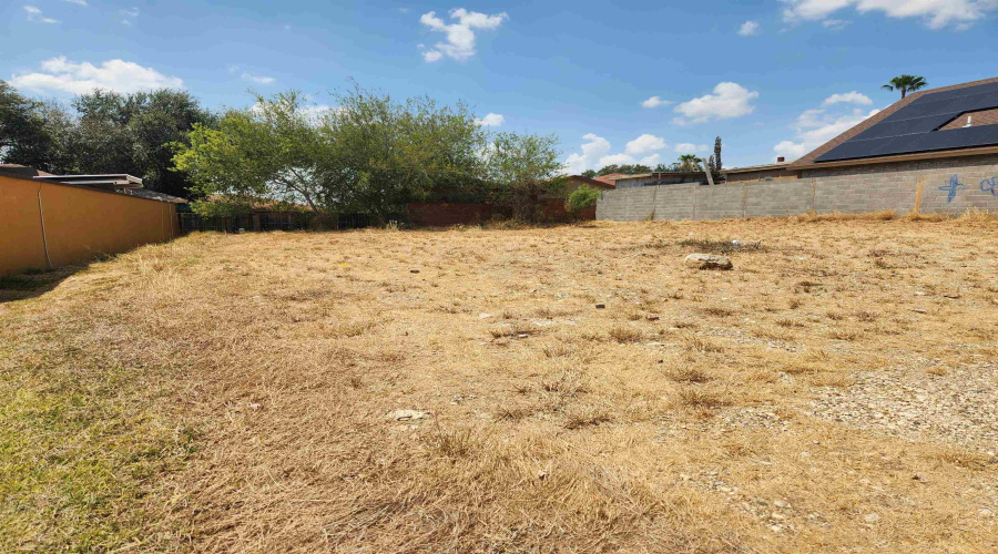 218 Daisy Ln, Laredo, Texas 78046, ,Land,For Sale,218 Daisy Ln,20264176