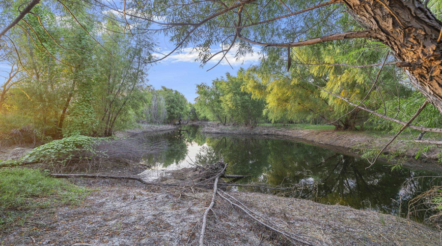 465 Papalote Rd, Laredo, Texas 99999-9999, ,Land,For Sale,465 Papalote Rd,20264212