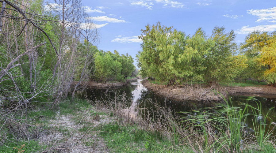 465 Papalote Rd, Laredo, Texas 99999-9999, ,Land,For Sale,465 Papalote Rd,20264212