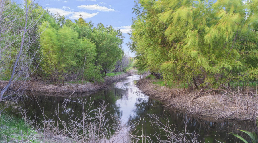 465 Papalote Rd, Laredo, Texas 99999-9999, ,Land,For Sale,465 Papalote Rd,20264212
