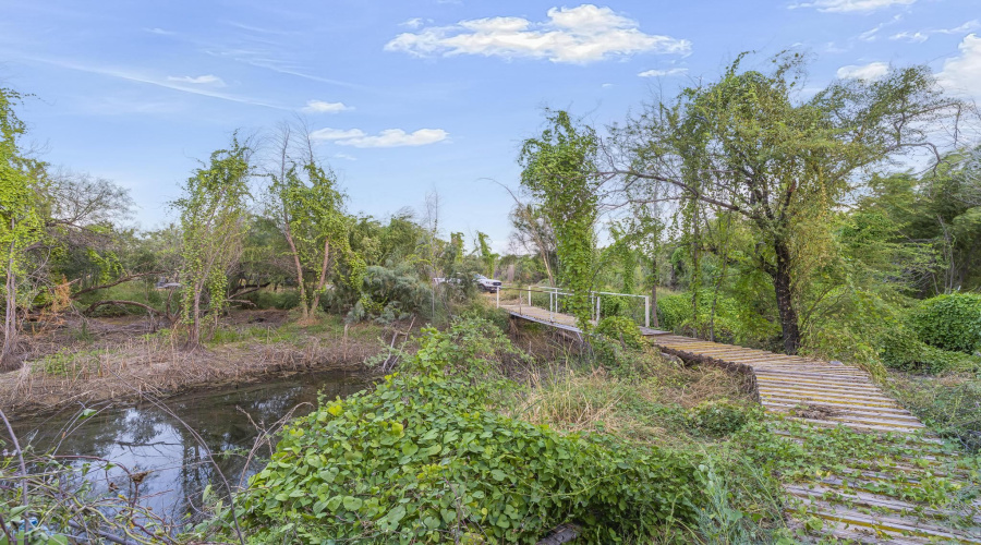 465 Papalote Rd, Laredo, Texas 99999-9999, ,Land,For Sale,465 Papalote Rd,20264212