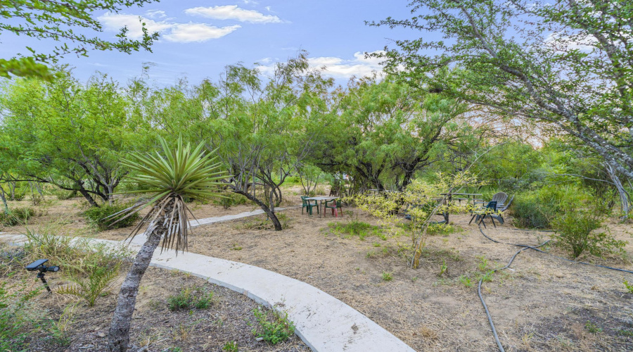 465 Papalote Rd, Laredo, Texas 99999-9999, ,Land,For Sale,465 Papalote Rd,20264212
