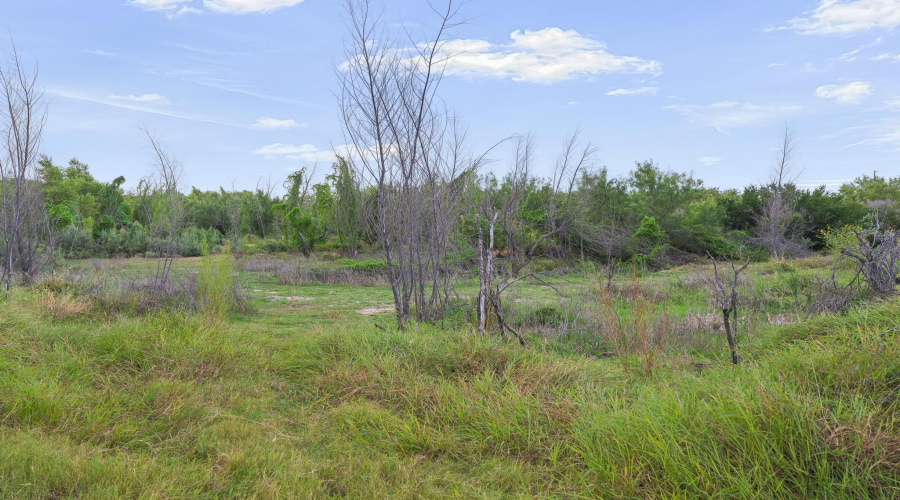 465 Papalote Rd, Laredo, Texas 99999-9999, ,Land,For Sale,465 Papalote Rd,20264212