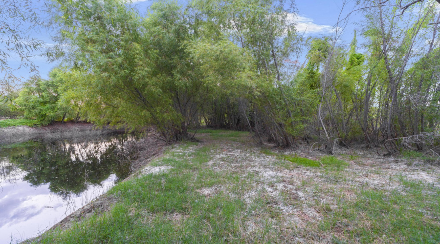 465 Papalote Rd, Laredo, Texas 99999-9999, ,Land,For Sale,465 Papalote Rd,20264212