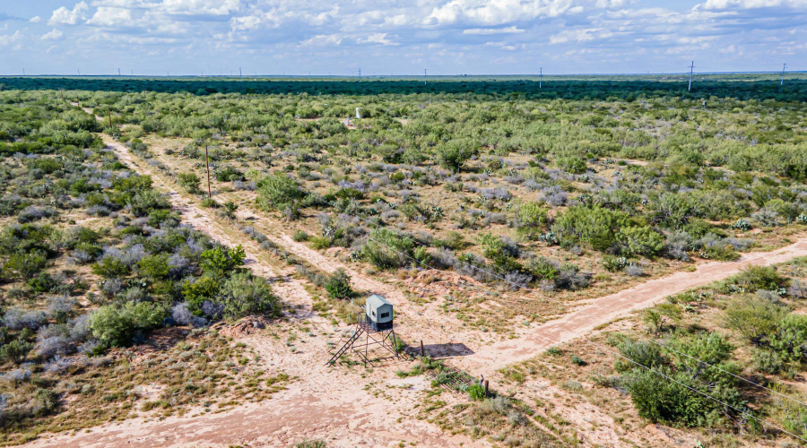 ABST 209 ABST 209 J V Borrego, Zapata, Texas 00000-0000, ,Land,For Sale,ABST 209 ABST 209 J V Borrego,20264223