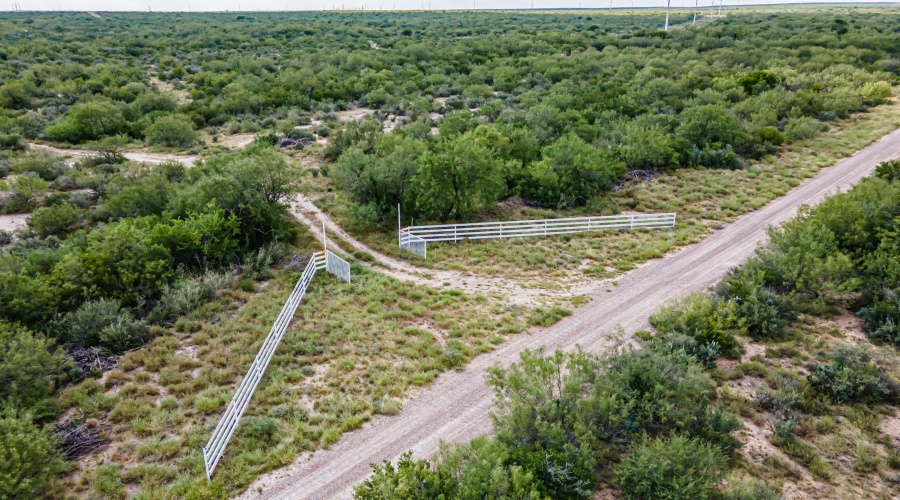 ABST 209 ABST 209 J V Borrego, Zapata, Texas 00000-0000, ,Land,For Sale,ABST 209 ABST 209 J V Borrego,20264223