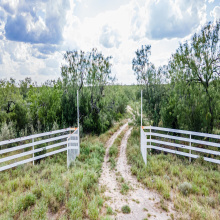 ABST 209 ABST 209 J V Borrego, Zapata, Texas 00000-0000, ,Land,For Sale,ABST 209 ABST 209 J V Borrego,20264223
