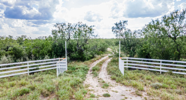 ABST 209 ABST 209 J V Borrego, Zapata, Texas 00000-0000, ,Land,For Sale,ABST 209 ABST 209 J V Borrego,20264223